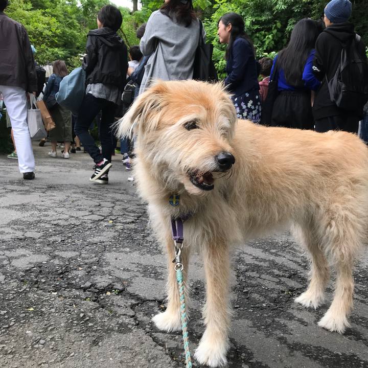 39838d9e 6de2 4863 9300 b3b4fa5a711b 1560050429967