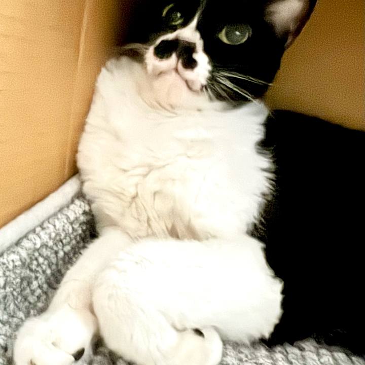 39839172 ee0d 46f5 9ee4 f1250edb8fca 1724124447169