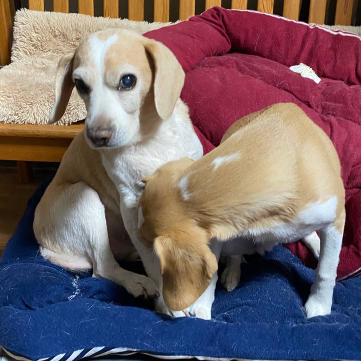 398392cc e929 4d68 90f6 c3b976adcbc2 1584955139436