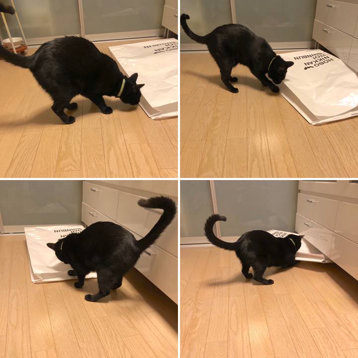 3983e374 05b8 4a54 b5c8 21f95a3bbf69 1545832560404