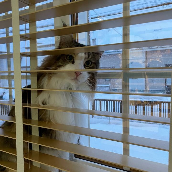 3983ea50 683e 4d20 8bc7 c48b7e6d7256 1672265021090