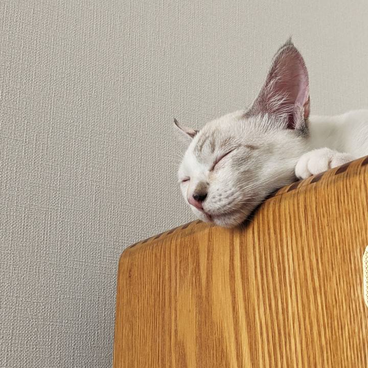 39842480 d80f 4351 9809 03f698cd35b4 1692779036322