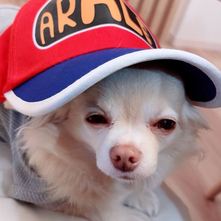 39845573 9c03 44fd 825c 137771a0ac9f 1745915891888