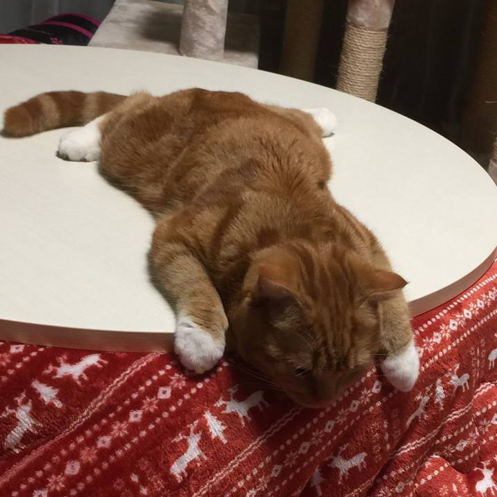 3984748c 415d 4a99 a26f baebf3188d7b 1517921536250