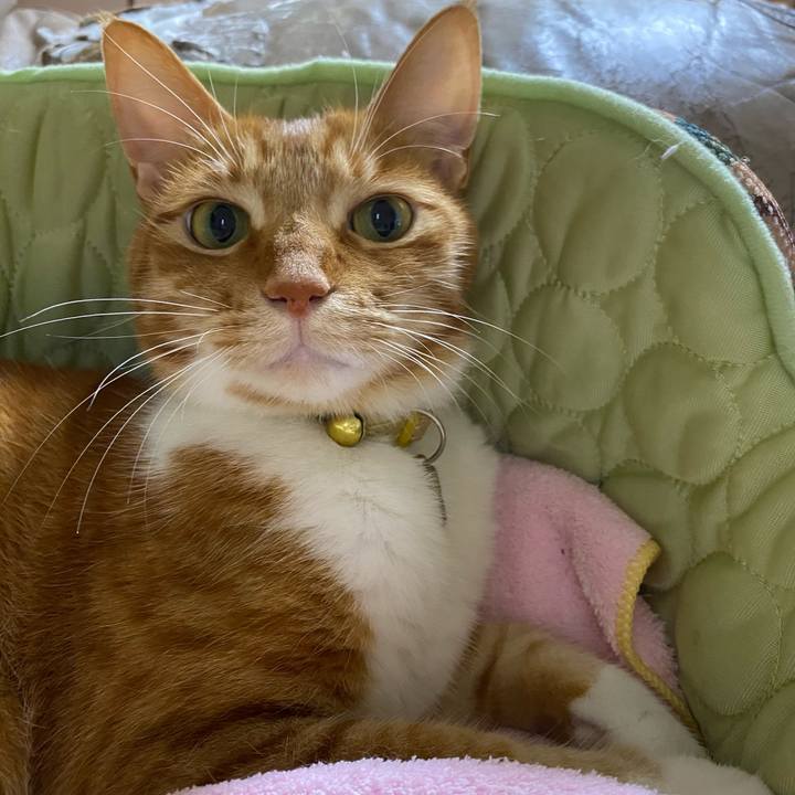 39849ab3 2e7f 4c71 af98 c216d9d636ea 1594652116066