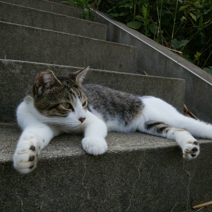 3984d9fa b9cd 4629 89b7 7f2050cdb162 1536319378299