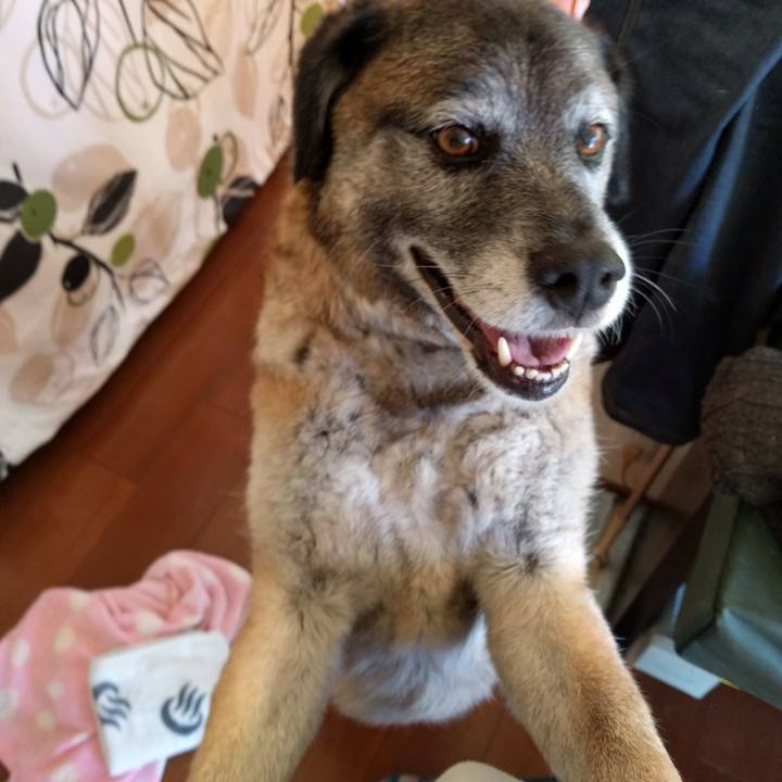 39850f47 55dd 4904 a765 ae34e0f270e2 1718928747787