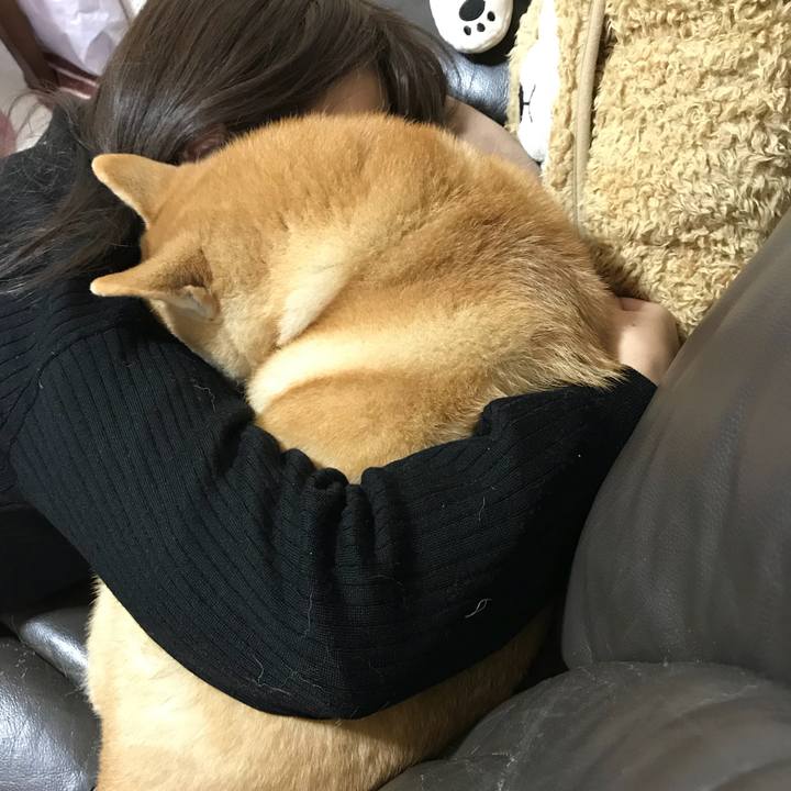 398577ee d9da 417d 91ef 0f12d6f7fa71 1516345930035