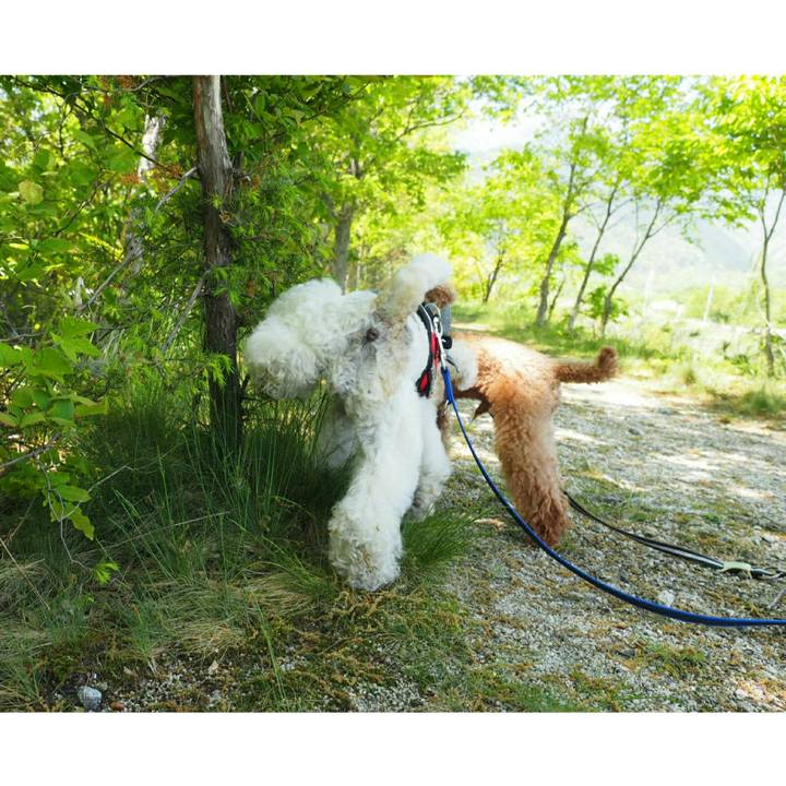 39859848 e90a 4c52 ac71 606141a75da5 1525019030451