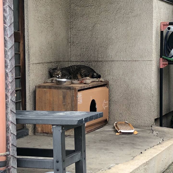 39859fc7 fb84 4991 a308 885d214ed432 1633427184653