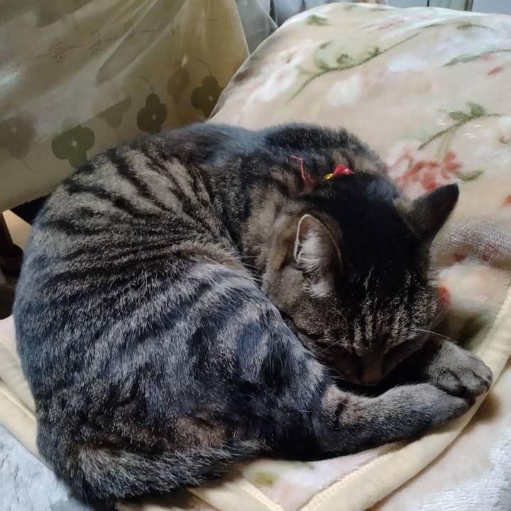 3985acdd 8bd6 4e70 8430 e9668d35328f 1671970466274