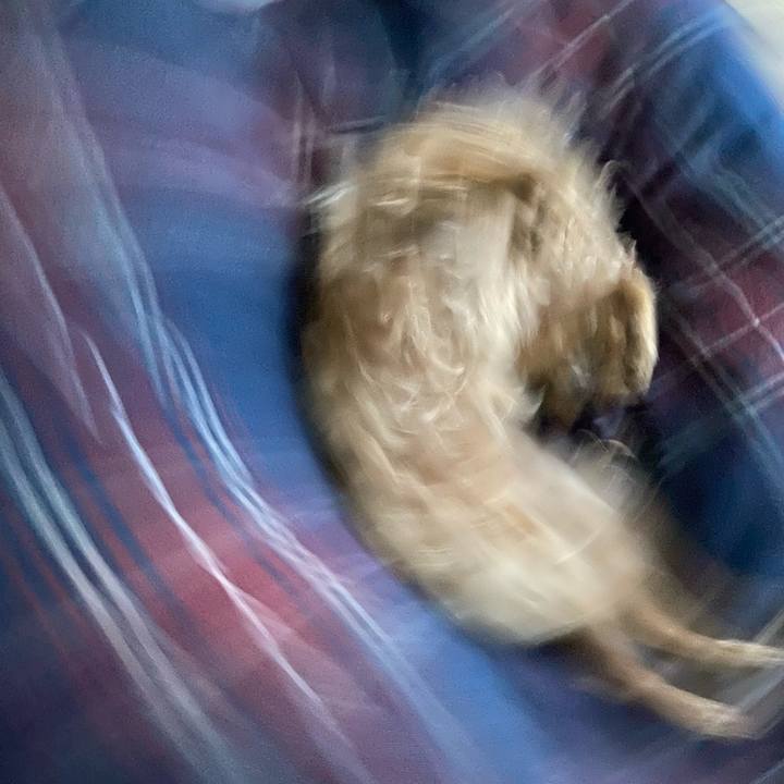 3985b54c 12e3 4344 bca3 0fa55366a3b6 1651792484537