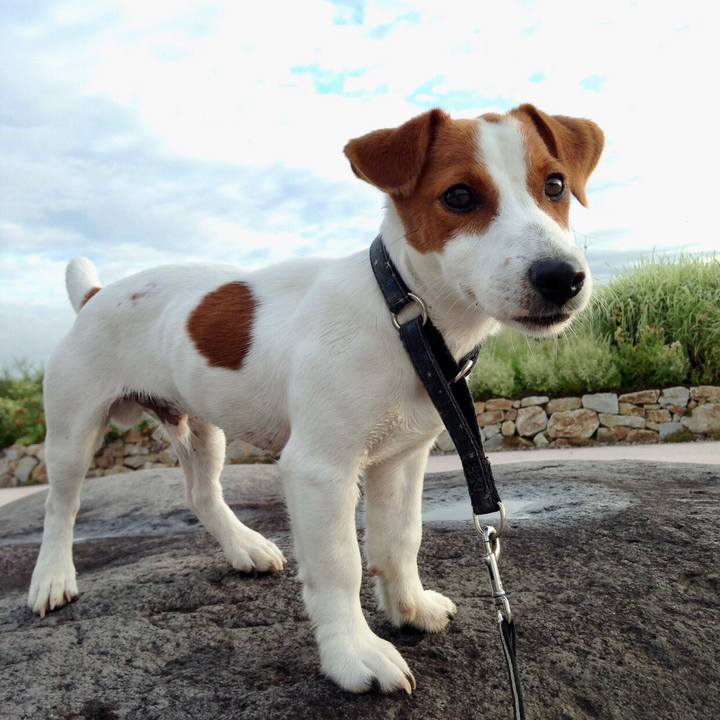 3985d191 b0ce 44bf 8760 aeb02d443f99 1648109187885