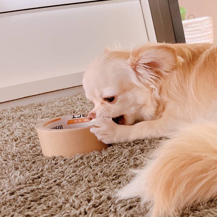 3985d9f7 8541 4456 b059 2fea41e17003 1659611202857