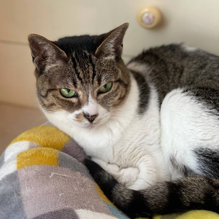 3985ddfa 7e1f 4d65 a114 eb8bf5890206 1618191540665