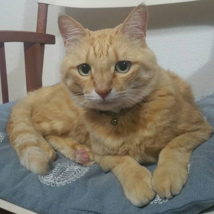 3985e54d f6dd 4faa ac18 88abacf68c2b 1562543919374