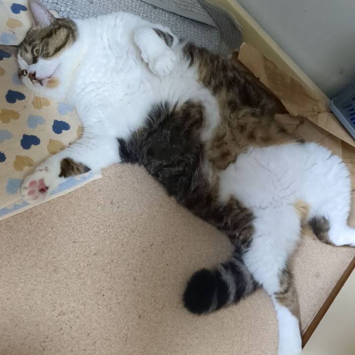 3985e798 2766 4fce b664 7d1975820f14 1757946362926