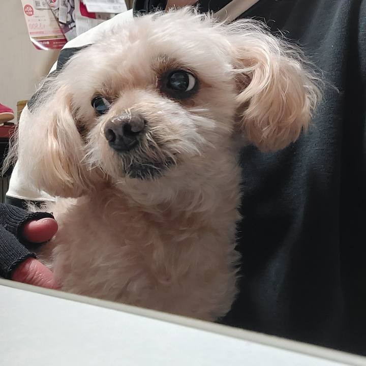 3985fd51 2b8b 403e 81be b96f626d7f55 1732794247665