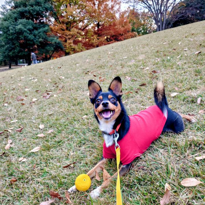 39861bce 1ebc 4f19 80a0 805745b674a7 1765519836530