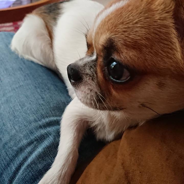 39863324 c513 4246 a7a3 5fc7ed40660e 1532350322342