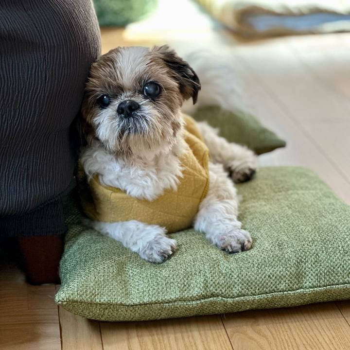 39865047 5472 4064 8fc0 9192b1a83857 1699151772029