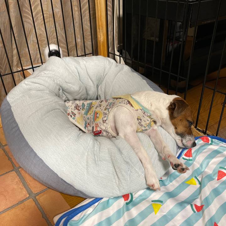 39866141 2ee3 49ca 8e33 1daf7da74a1a 1658143733584