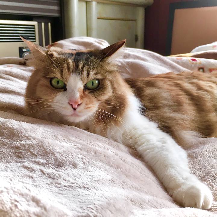 398667e7 7f0c 4a57 901e 28d692492ed0 1620285789390