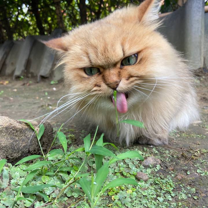 398672da c354 4db7 8b94 6ef4c9b05905 1595639273264