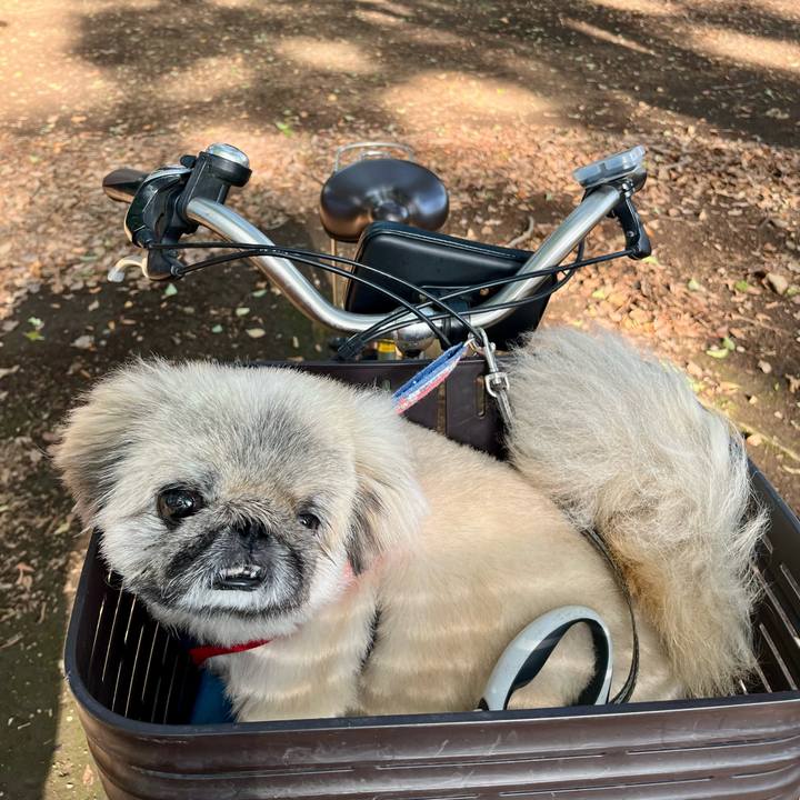 3986a16e 7cbc 47ce bada 141c7a760b8e 1757890141630