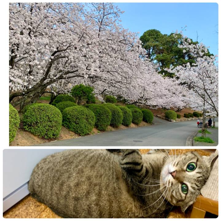 3986b9ae 063b 40c2 b19b 0d48c32d7132 1616575478267