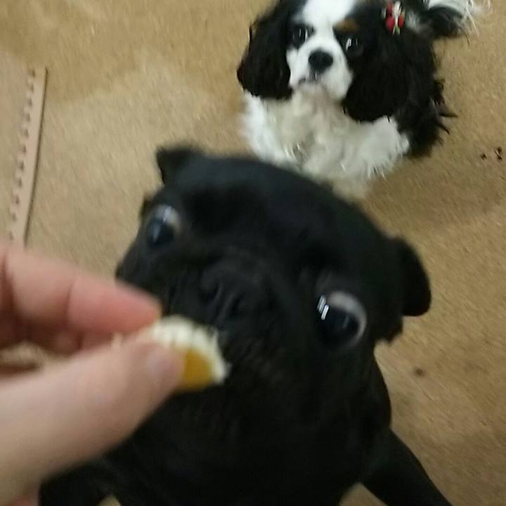 3986ee0f abf6 4d5b 93ab 7ce68b3a8ab8 1538313346122