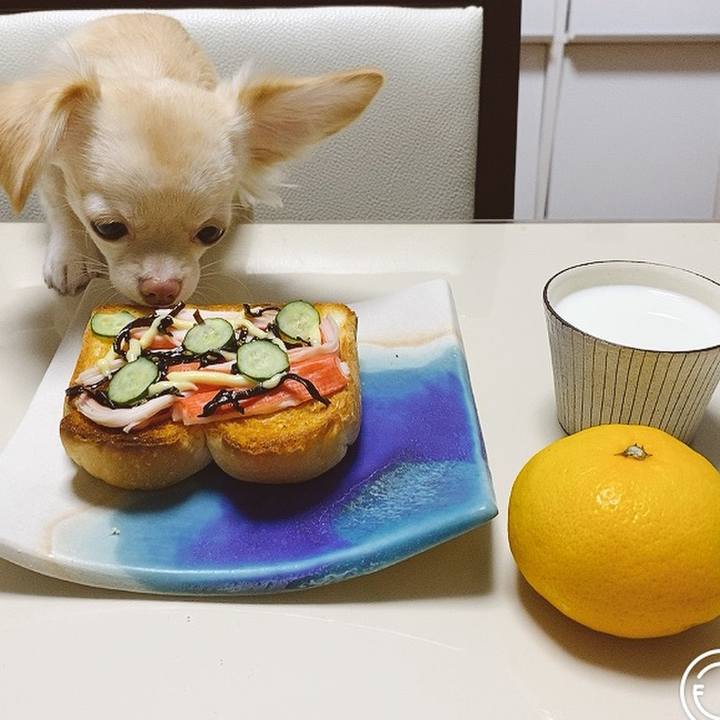 39874e17 a348 4e97 ae36 6873e6dcb8fd 1603407169539