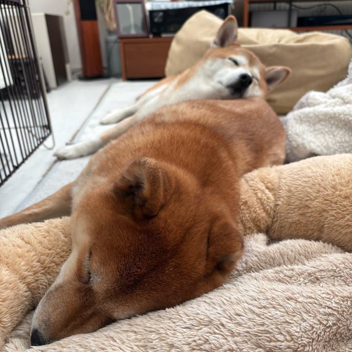 398753f7 e398 4b28 8172 2bf44c044ce4 1768696719175