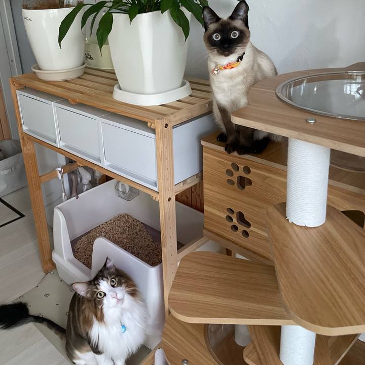 398772e2 b406 46d1 abb3 eadee7bcd614 1720554023065