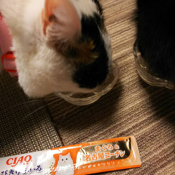 3987df3e e2d6 4552 8a0d 5b24d50bbf8c 1544957490040