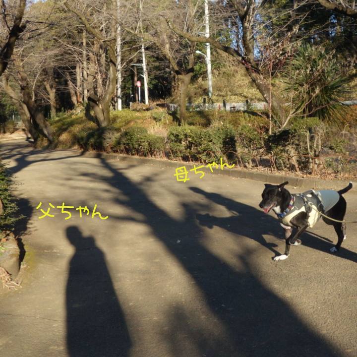 3987dfb5 9fe9 46cc b662 4571cd248f7e 1642553406365