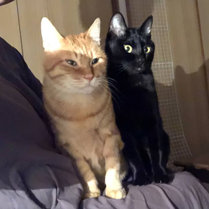 398850d6 defe 4148 8eec 4567f5782323 1671025654302