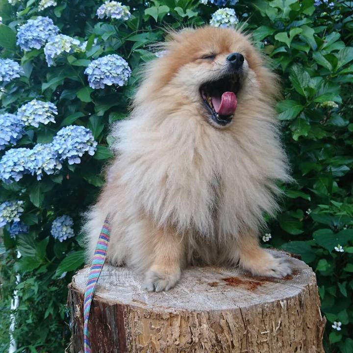 39887556 985c 47d7 a07c 45771b5bb435 1528541694092