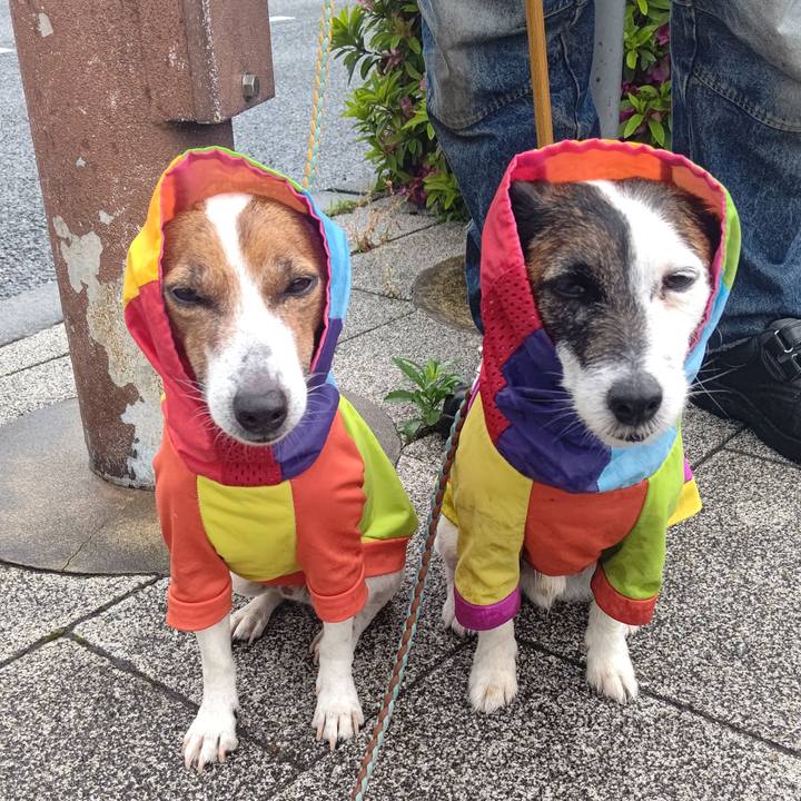 39887ab6 abe0 4c0a 85c8 dcdfc5cb8886 1715036083466