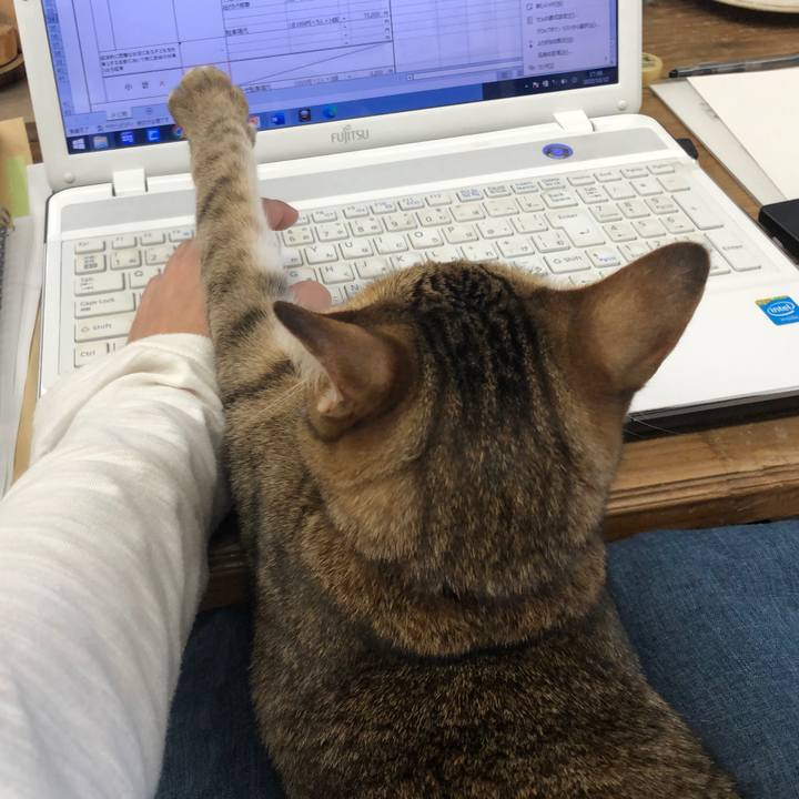 39888249 d0bf 44fc b9ae ec7e550f0016 1665620218922