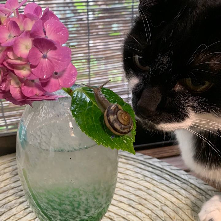 39889348 96ab 4df7 9407 5f9e0ecf6602 1561793942480