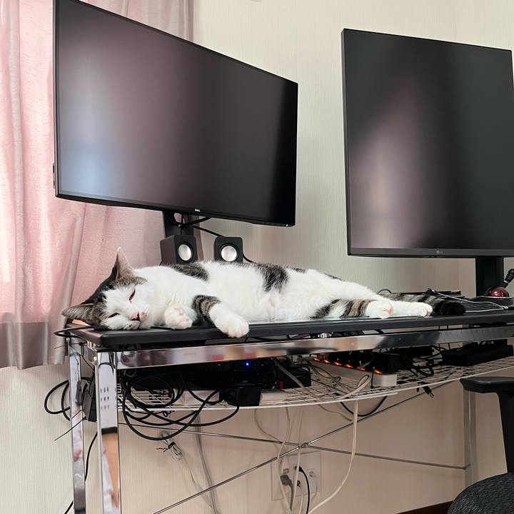 3988f942 af43 4f9b 897f 075c8183b293 1690146981542