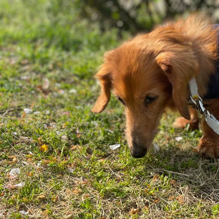 3988fc33 0f37 4775 9984 d9d69ddce8ec 1649724229657