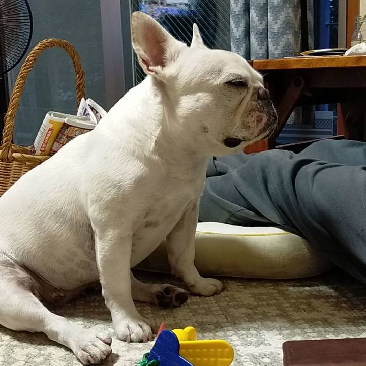 39895224 7e51 450c bd3d 7ebd6cf2c759 1661899153168