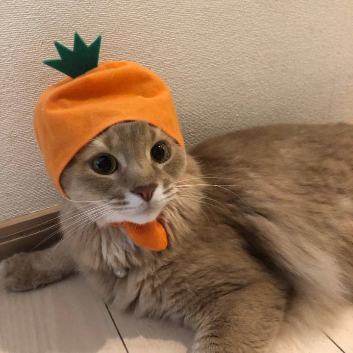 3989763e 32c4 481e b741 0bbb81212d42 1628925262129