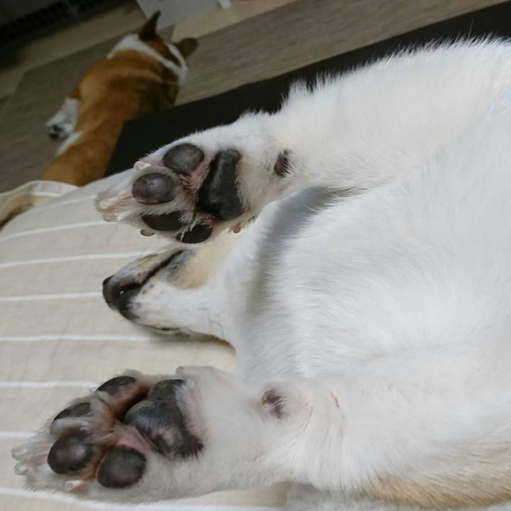 3989b977 abe5 42a1 bf5d ee89d0843f47 1546266656472