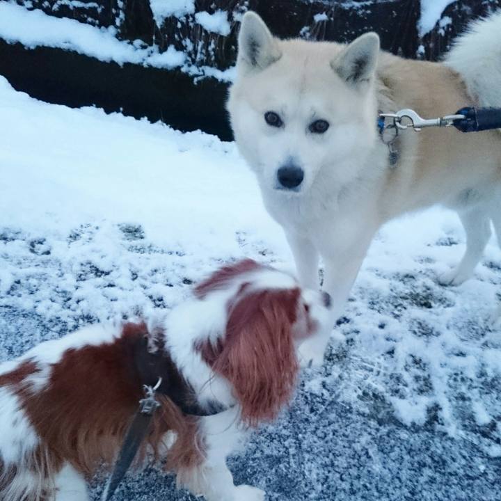 3989bc48 2531 4ff8 9a2e 9e560d25355c 1550181235242