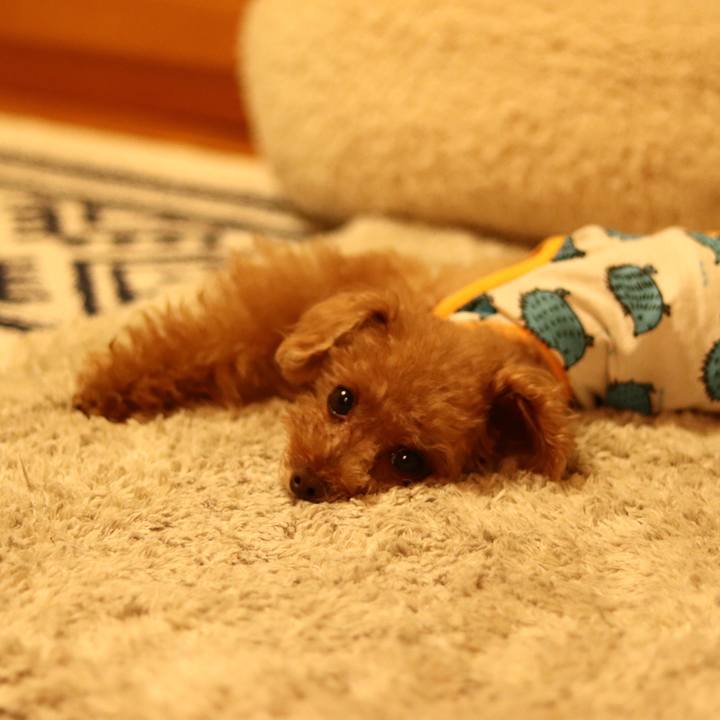 3989cad6 73fb 4ef2 8a02 bfc751e34529 1598625739899