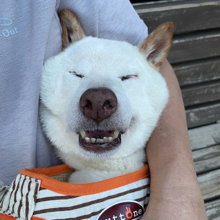 3989ea73 7feb 4c01 91a6 c4c17ece45b6 1658845949832