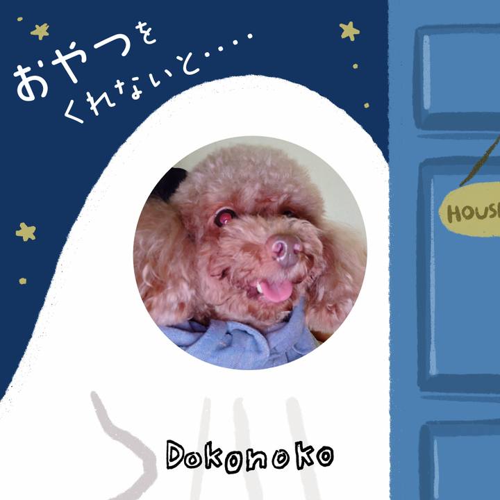 3989f2b2 ed09 4251 a0b2 960dfc047970 1729423701275